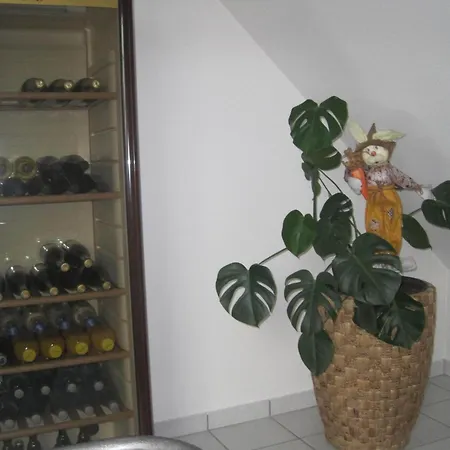 Zabel Bruttig-Fankel