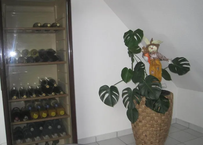 Zabel Bruttig-Fankel